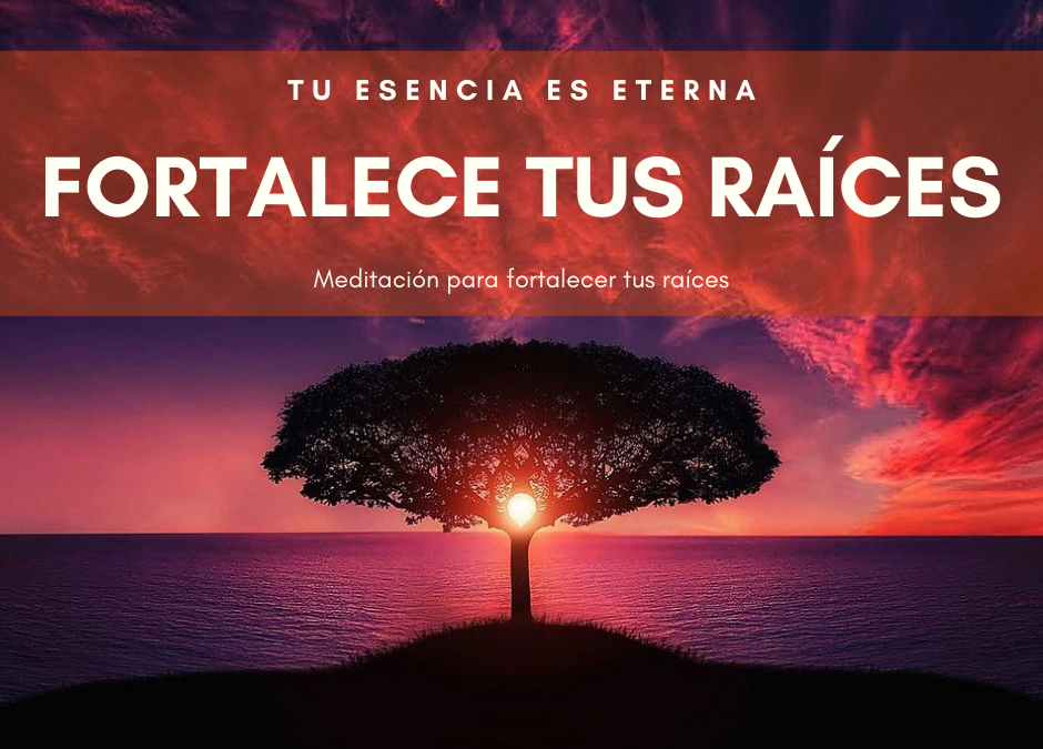 Fortalece tus raíces